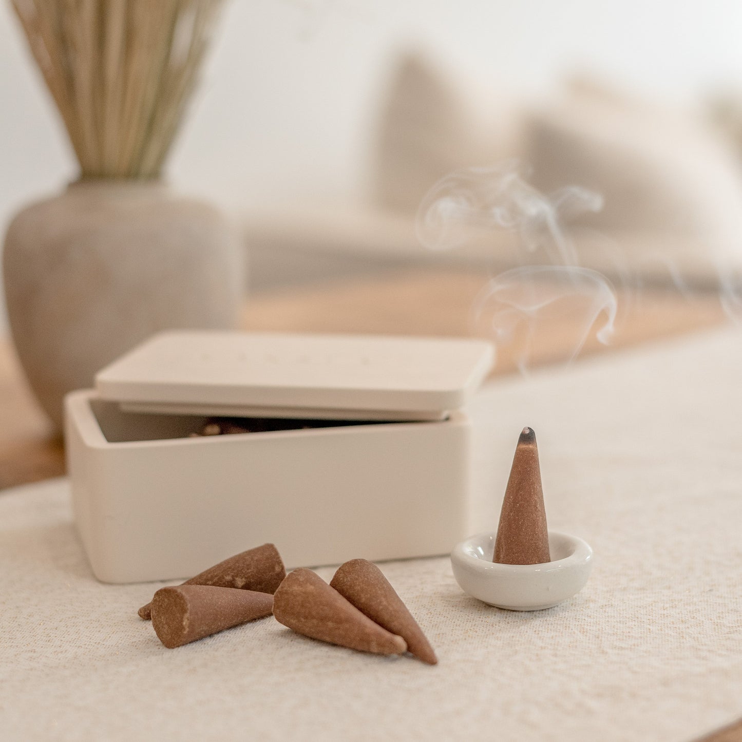 Suede & Santal Incense Cones